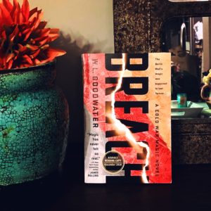 Book Review: Breach | W. L. Goodwater