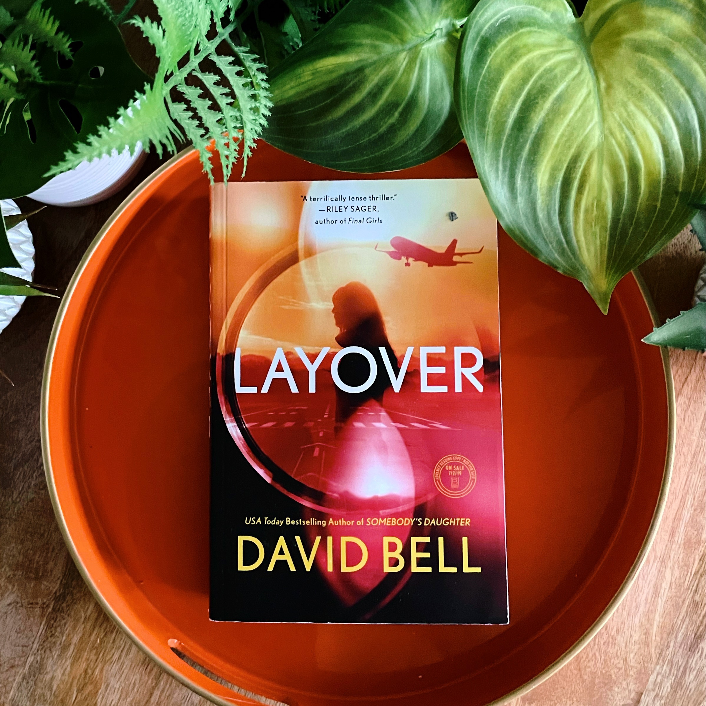 Book Review: Layover | David Bell