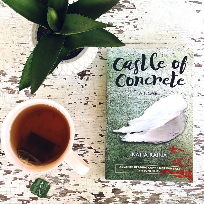 BLOG TOUR: Castle of Concrete by Katia Raina @katiaraina1 @tlcbooktours #castleofconcrete