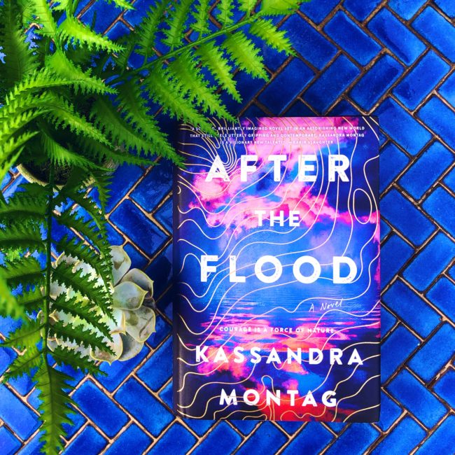 BLOG TOUR: After the Flood by Kassandra Montag @kassandra.montag @tlcbooktours @williammorrowbooks #bookreview #aftertheflood