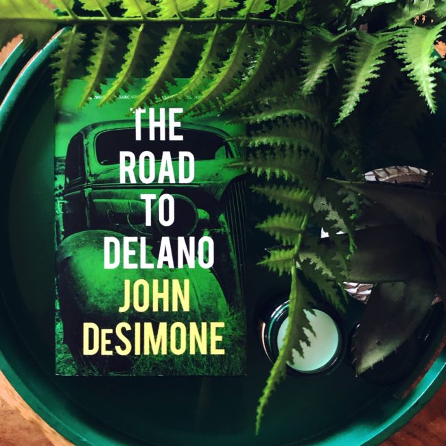 BLOG TOUR: The Road to Delano by John DeSimone @SuzyAPBookTours @rarebirdlit #theroadtodelano