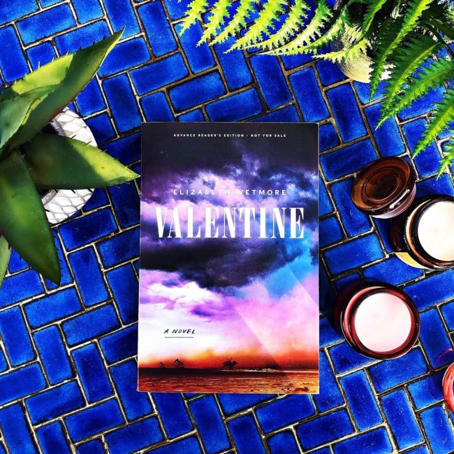 BLOG TOUR: Valentine by Elizabeth Wetmore @harperperennial @harpercollins #valentine #elizabethwetmore #bookreview