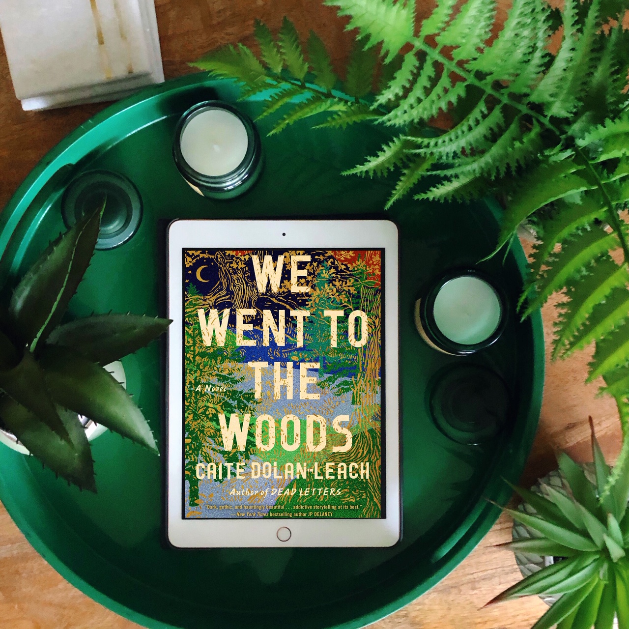 BOOK REVIEW: We Went to the Woods by Caite Dolan-Leach #wewenttothewoods