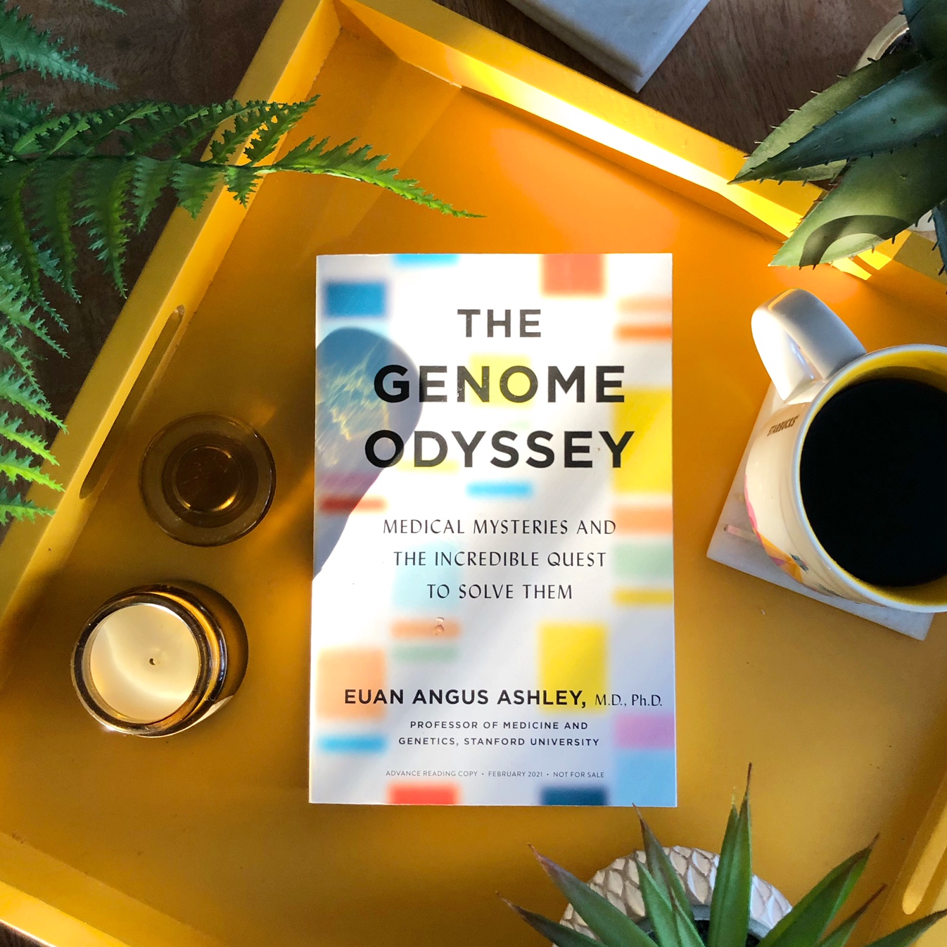 BOOK REVIEW: The Genome Odyssey: The Promise of Precision Medicine to Define, Detect, and Defeat Disease by Euan Angus Ashley @celadonbooks #thegenomeodyssey