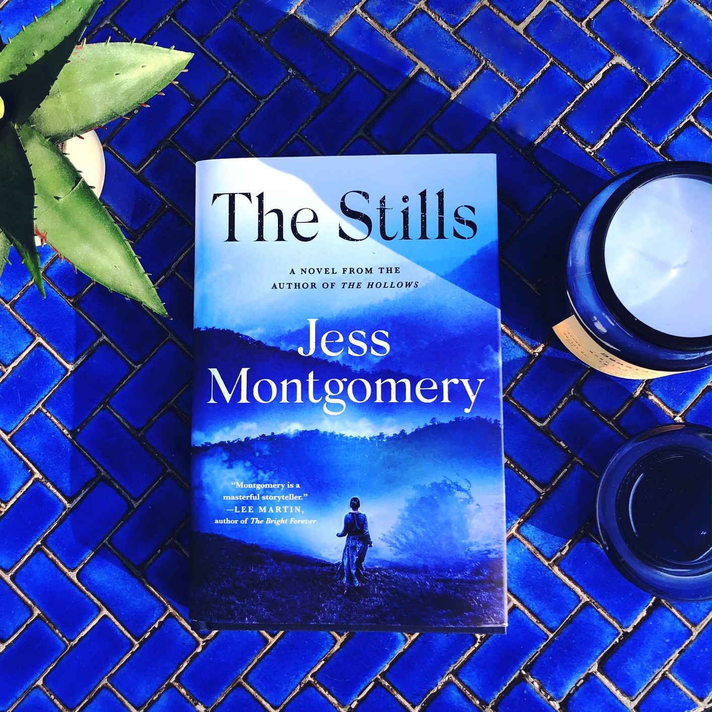 BLOG TOUR: The Stills by Jess Montgomery @JessM_author @TLCBookTours @minotaurbooks #thestills #bookreview