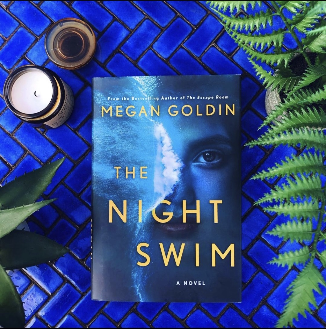 book review the night swim