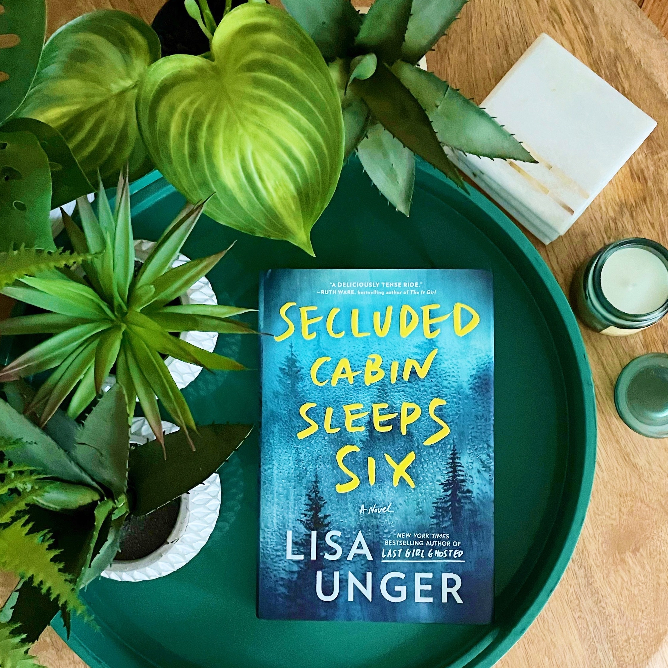 Book Review: Secluded Cabin Sleeps Six | Lisa Unger