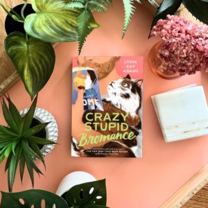 book review crazy stupid bromance lyssa kay adams bromance book club romance