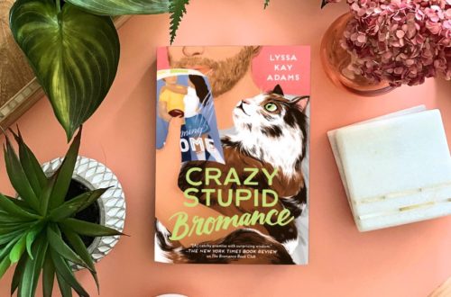 book review crazy stupid bromance lyssa kay adams bromance book club romance