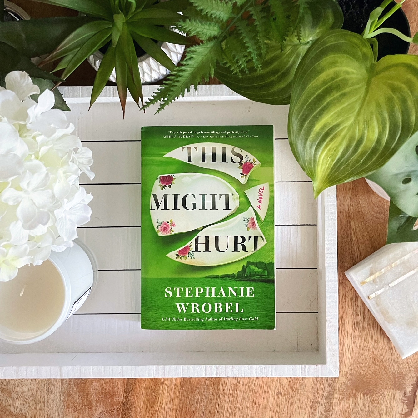 Psychological Thriller Review: This Might Hurt | Stephanie Wrobel