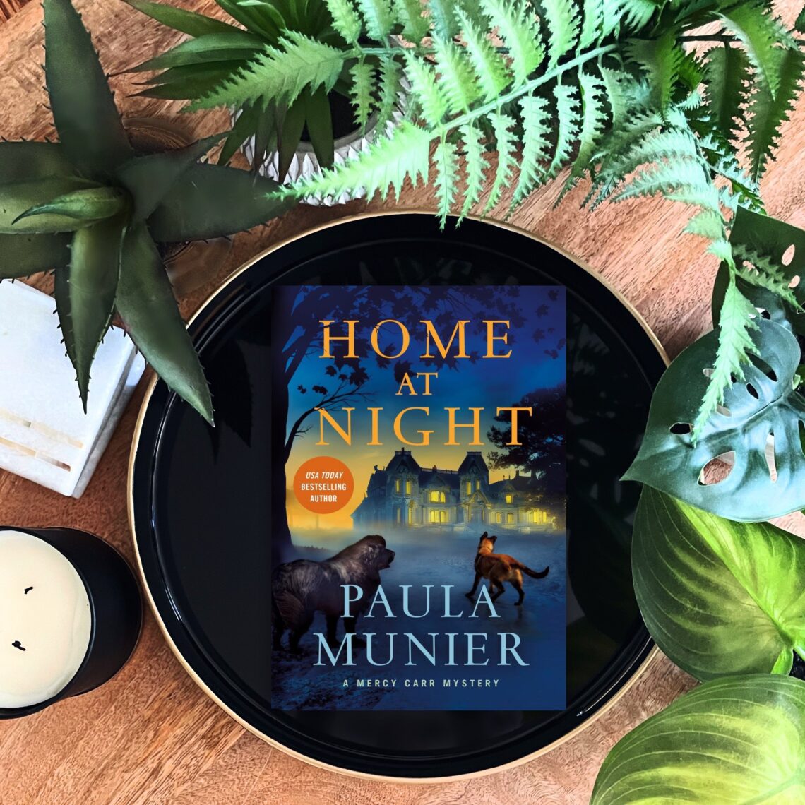 Home at Night is a mystery by Paula Munier set at an historic Vermont farm on Halloween