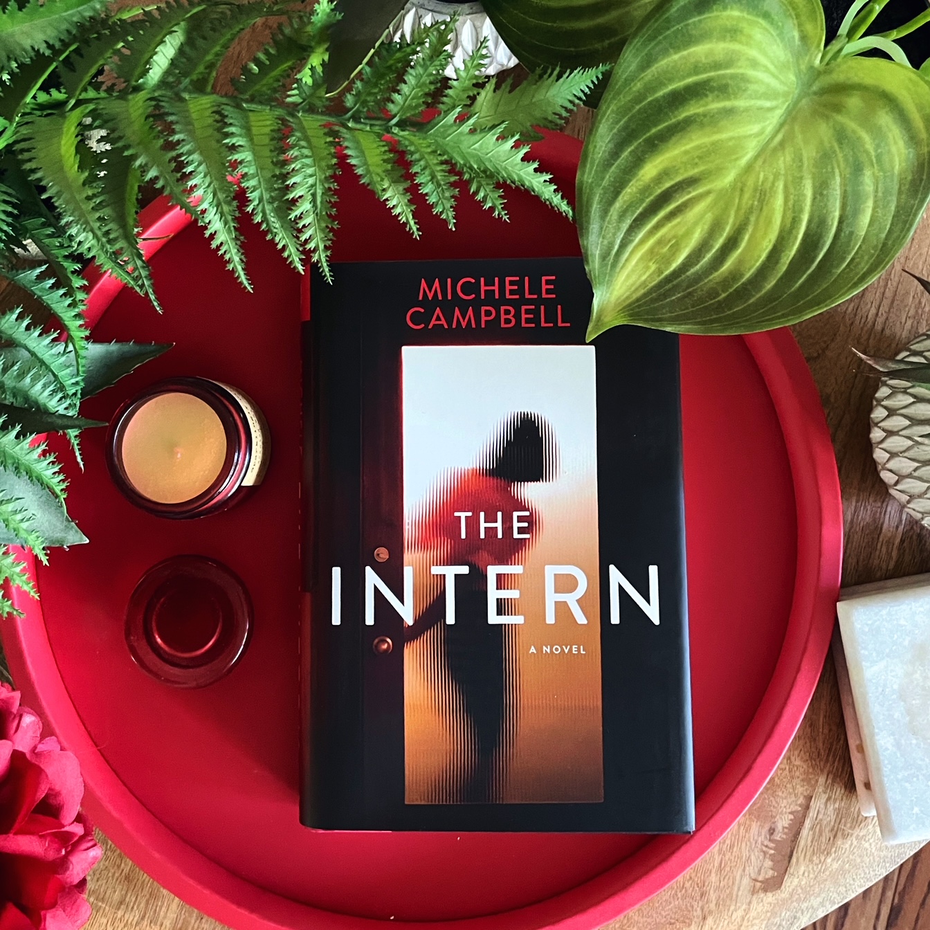 Psychological Thriller Review The Intern Michele Campbell The