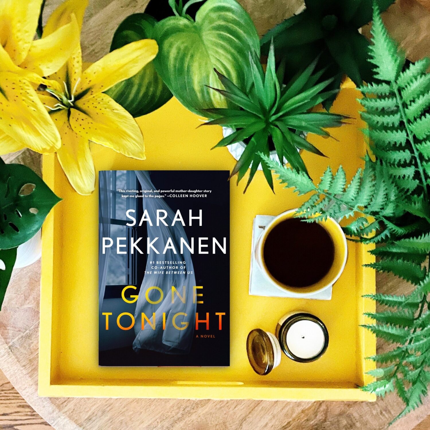 Book Review: Gone Tonight | Sarah Pekkanen - The PhDiva reads books