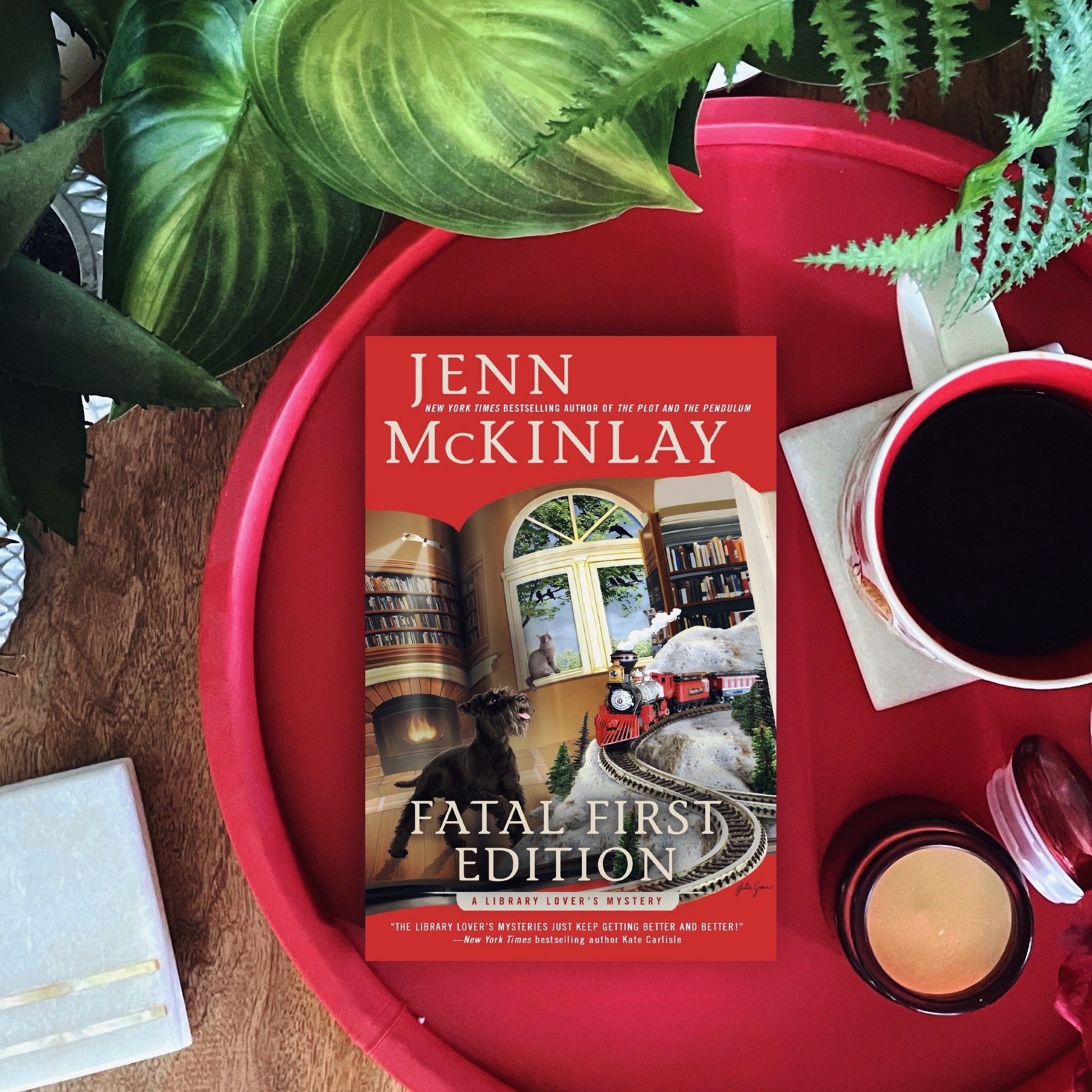 Cozy Mystery Review: Fatal First Edition | Jenn McKinlay | Library Lover’s Mystery #14