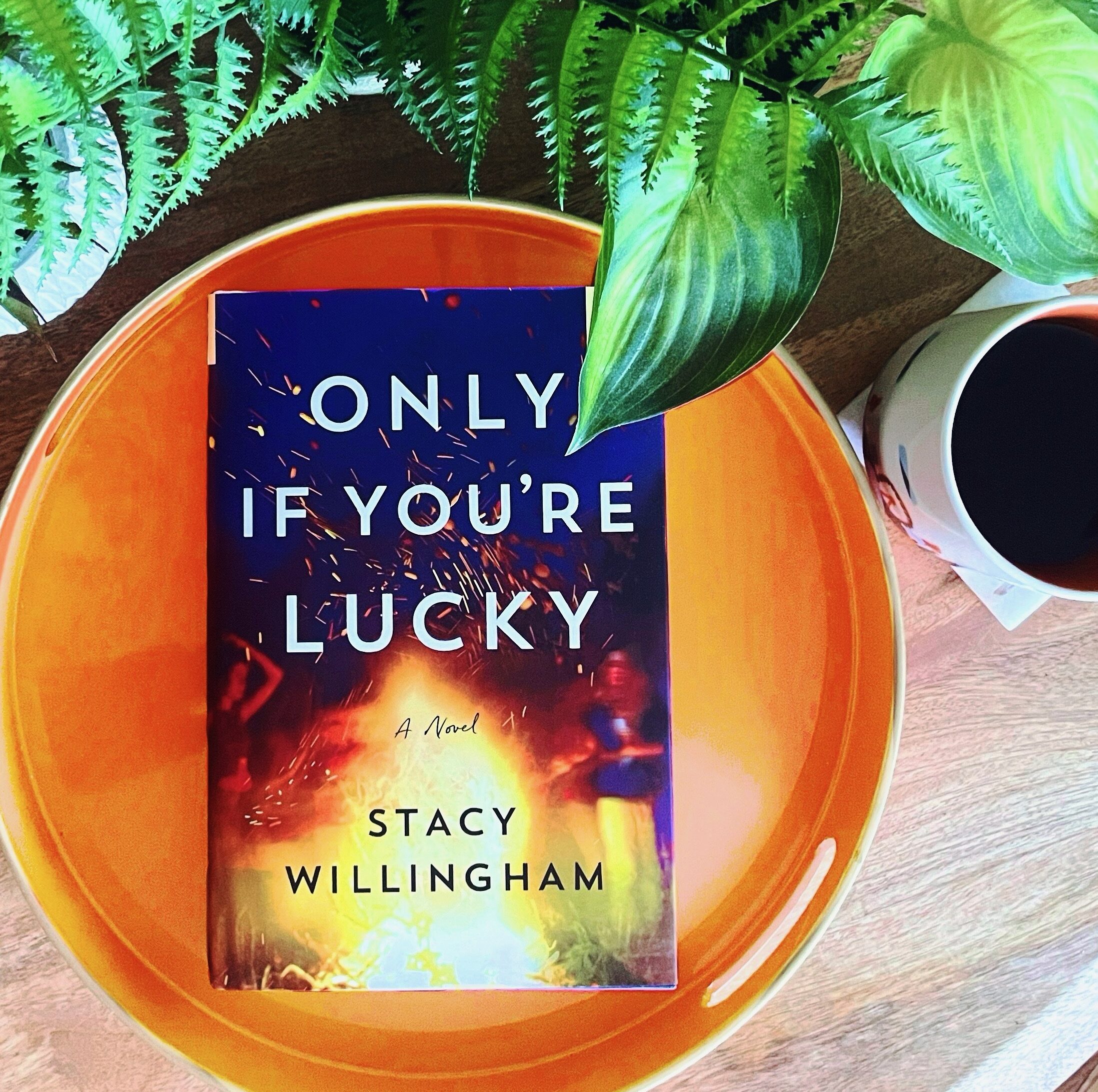 Book Review: Only If You’re Lucky | Stacy Willingham