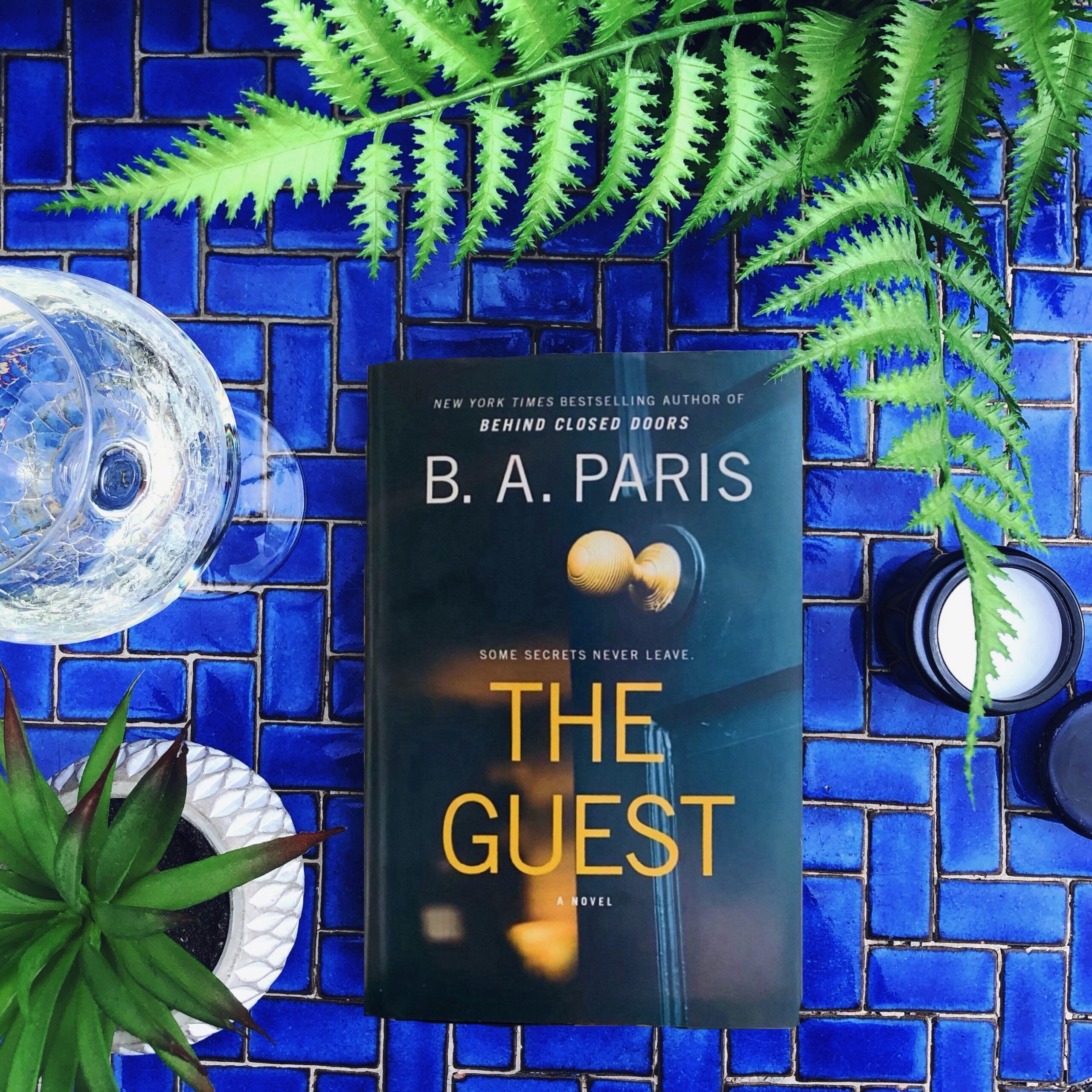 Book Review: The Guest | B.A. Paris – The PhDiva reads books