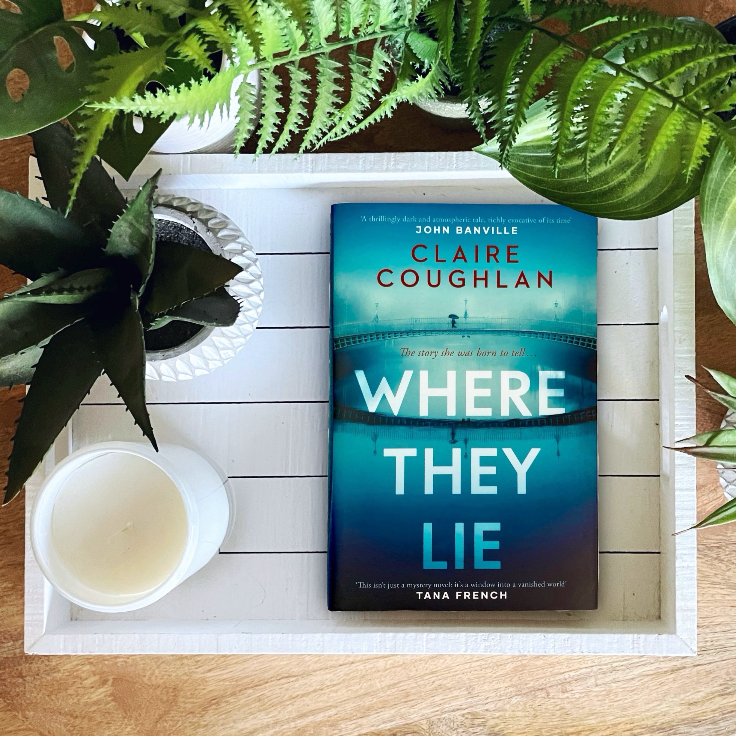 Book Review: Where They Lie | Claire Coughlan