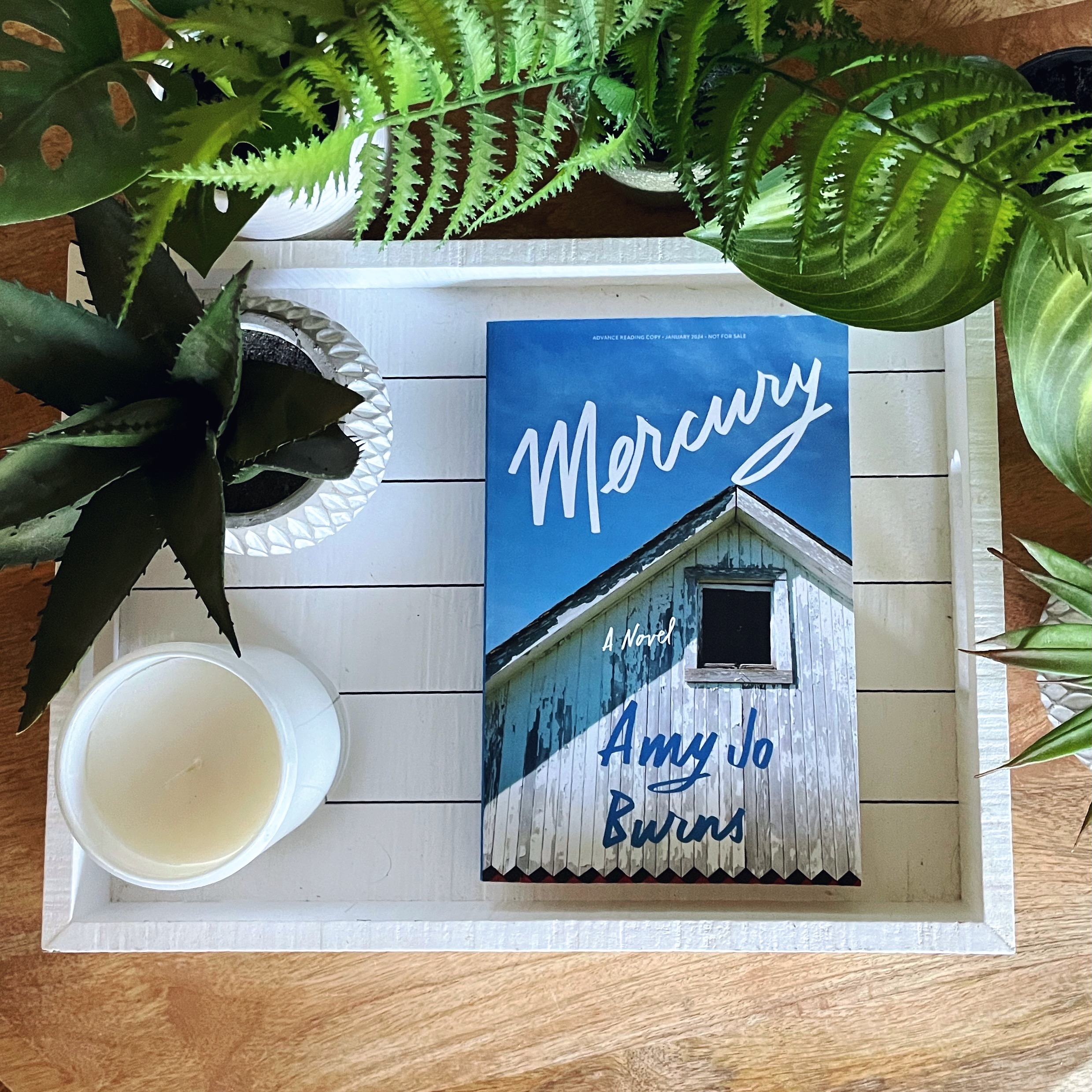 Book Review: Mercury | Amy Jo Burns