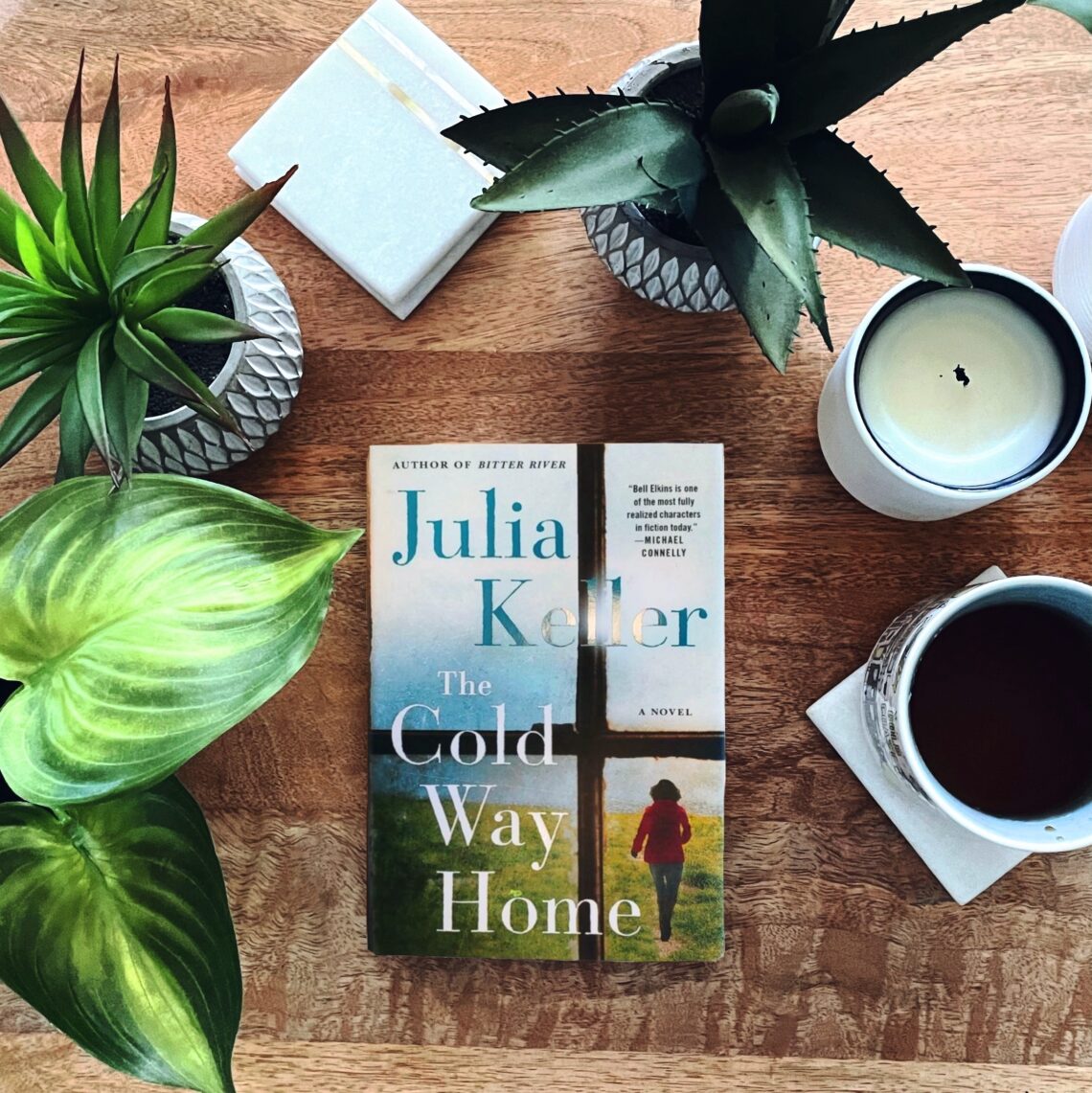 The Cold Way Home is a book about a private investigator who works a case in west virginia about a psychiatric institute, a dead body, and a missing teenager