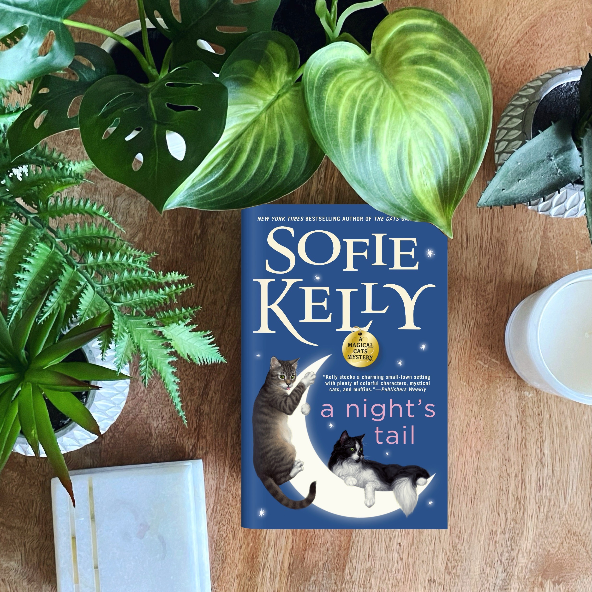 Cozy Mystery Review: A Night’s Tale | Sofie Kelly | Magical Cats Mystery #11