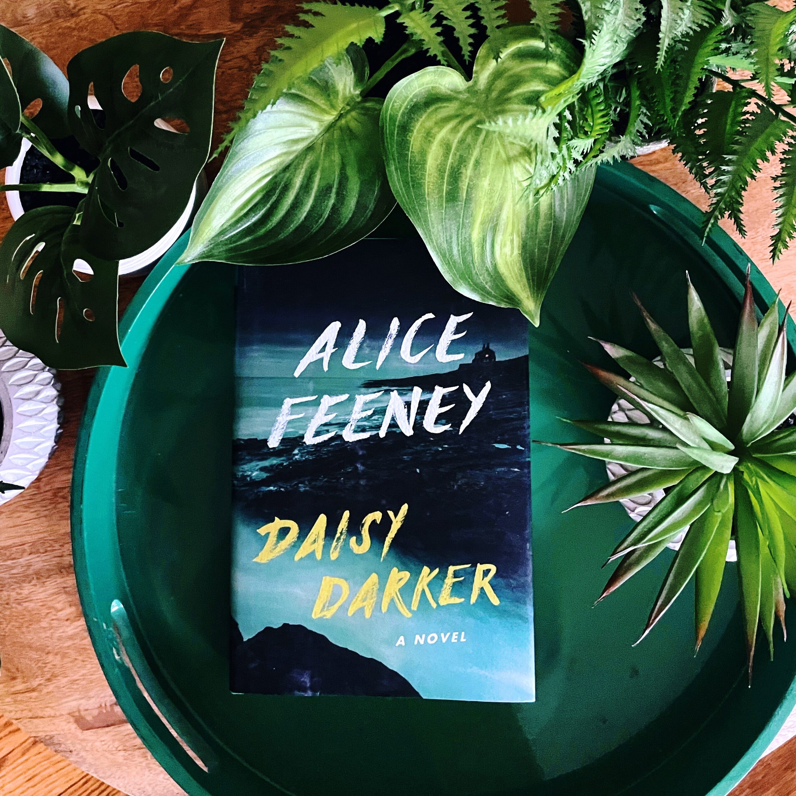 Daisy Darker – Alice Feeney – The PhDiva reads books