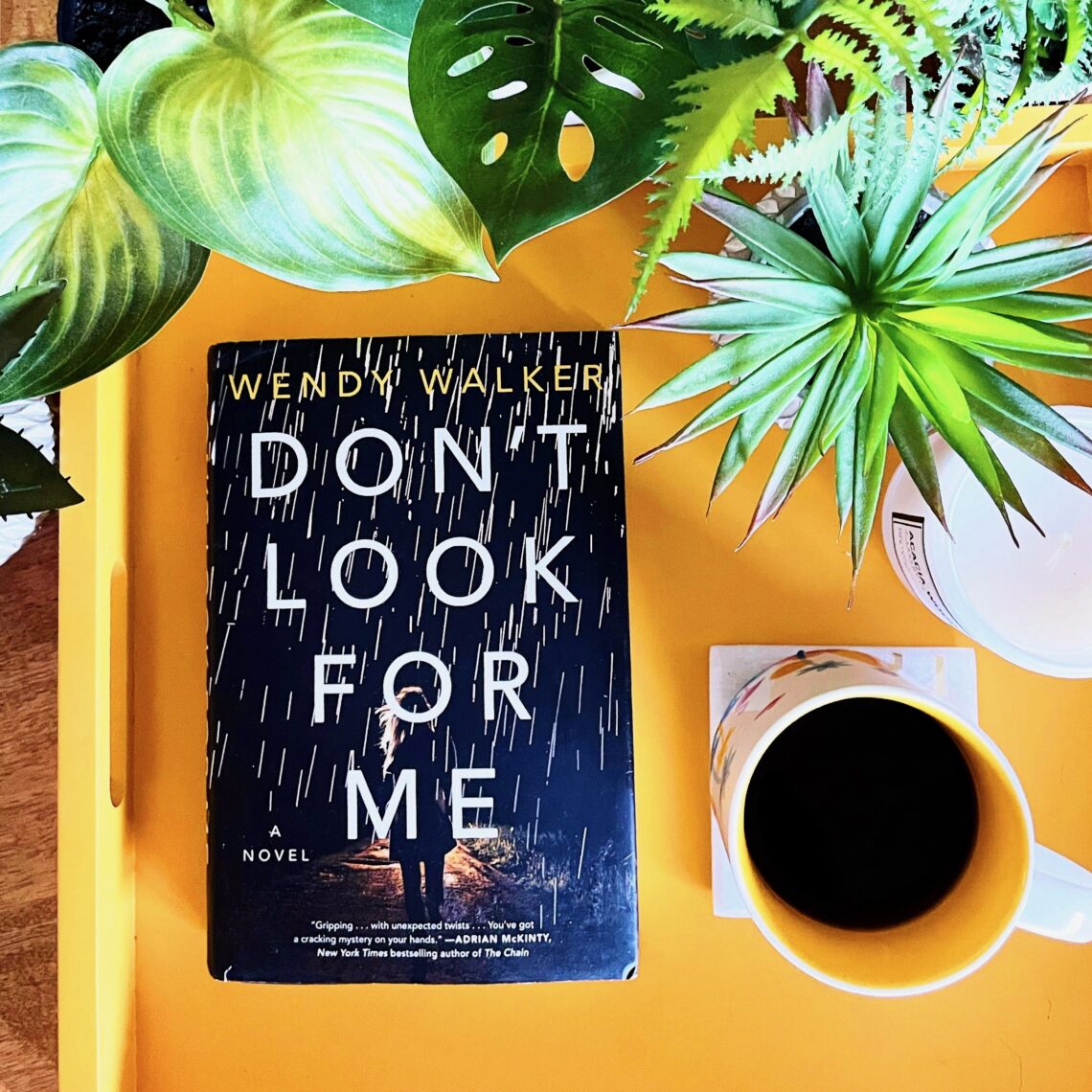 Don't Look for Me by Wendy Walker is a gripping, emotional psychological thriller about a mother and daughter
