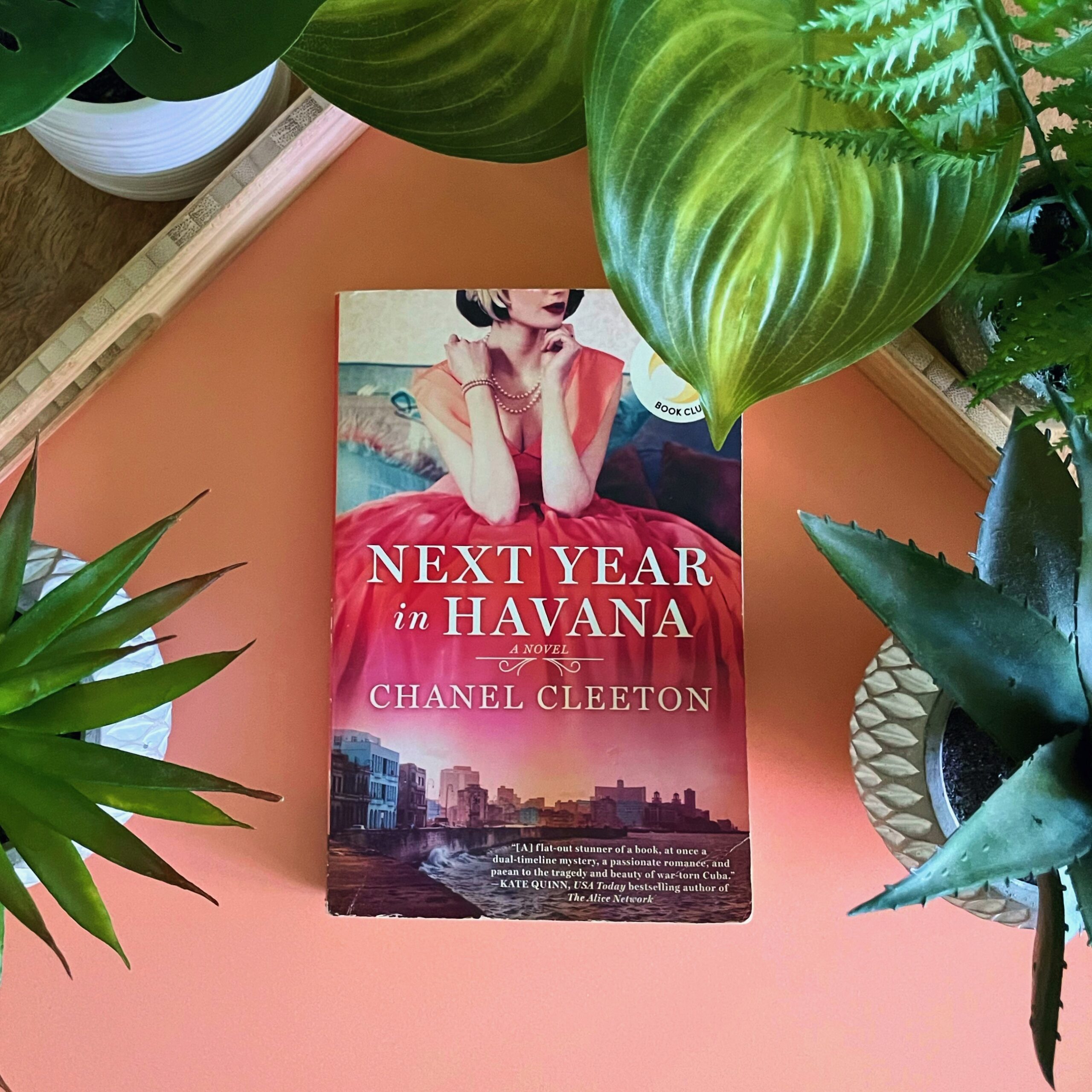 Book Review: Next Year in Havana | Chanel Cleeton