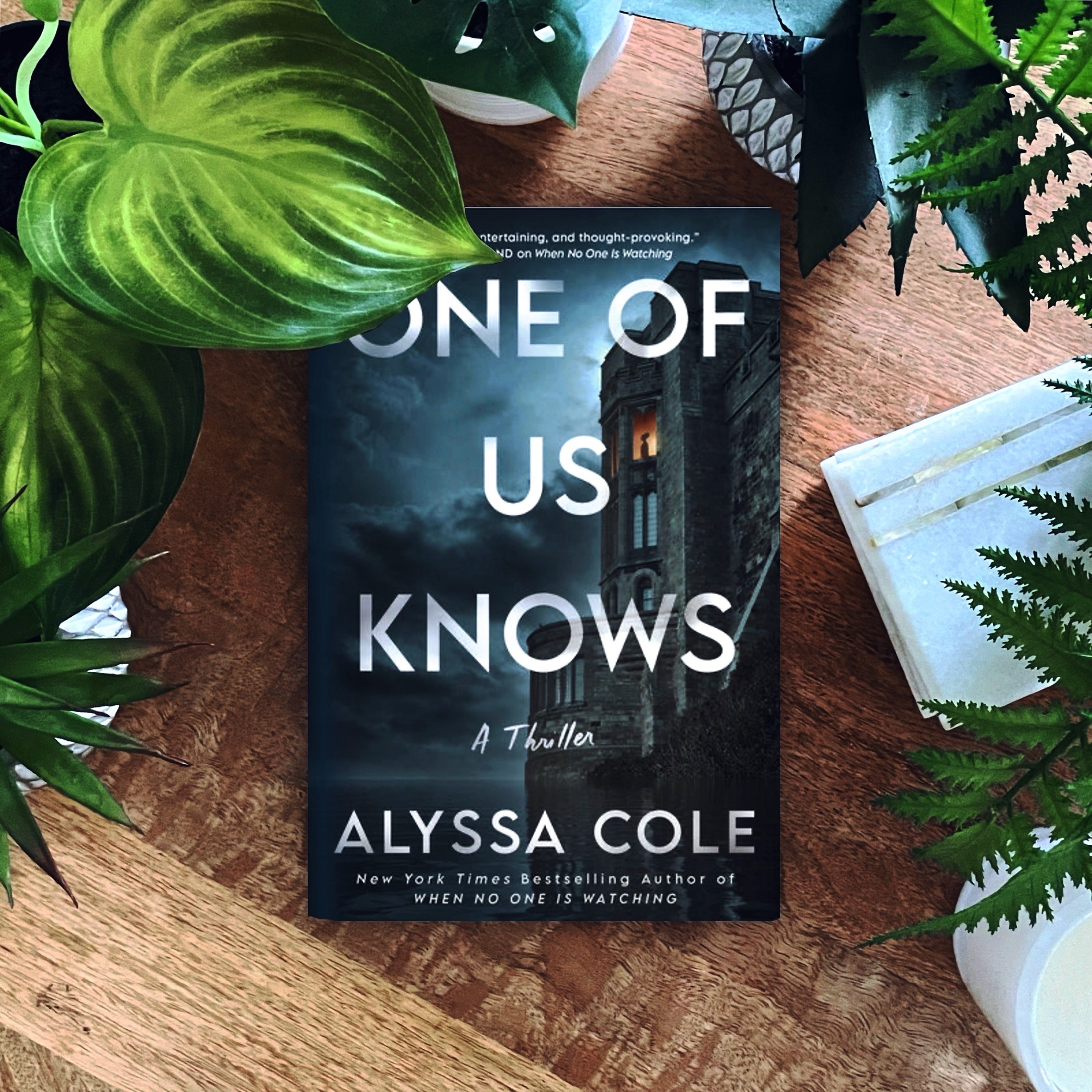Book Review: One of Us Knows | Alyssa Cole