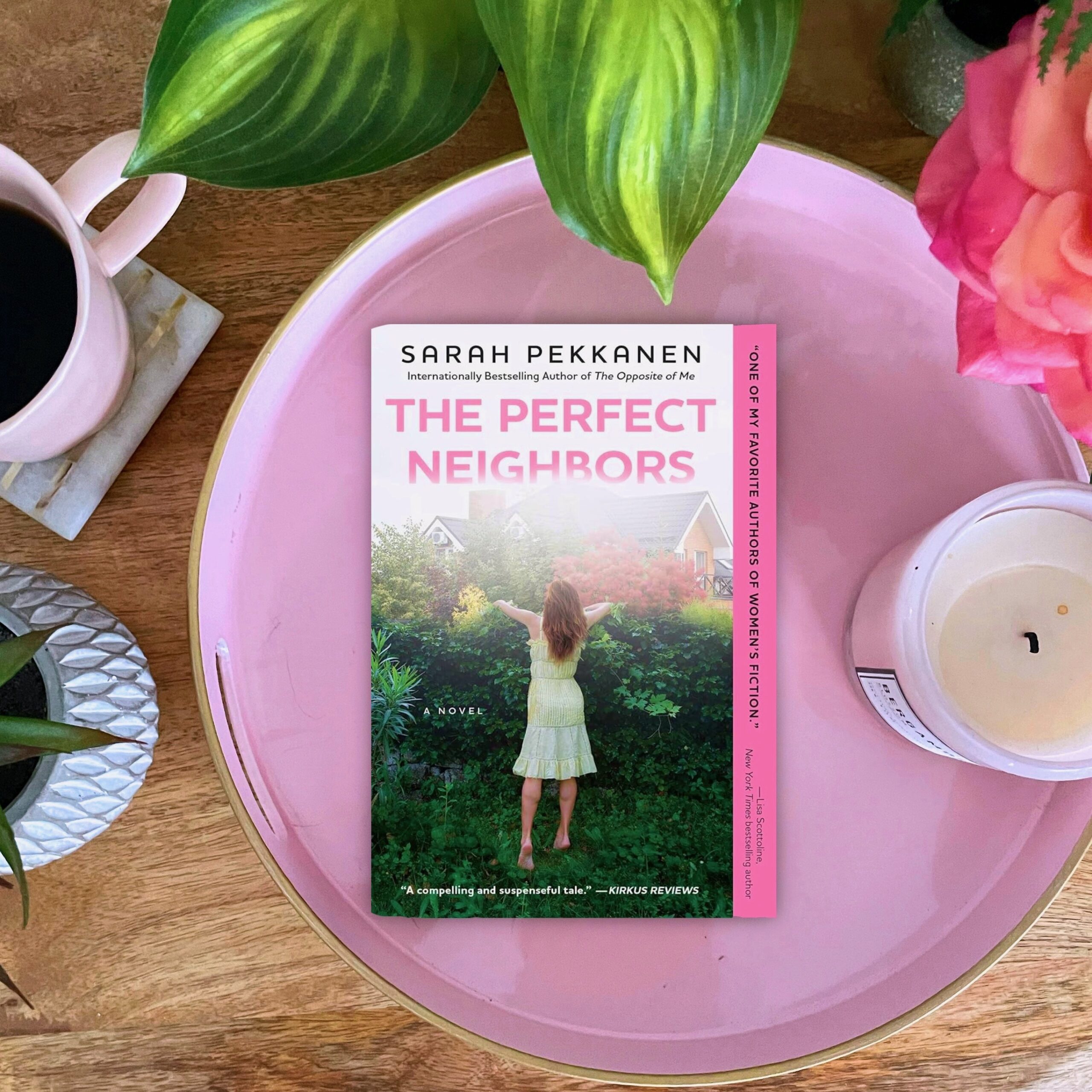 The Perfect Neighbors – Sarah Pekkanen – The PhDiva reads books