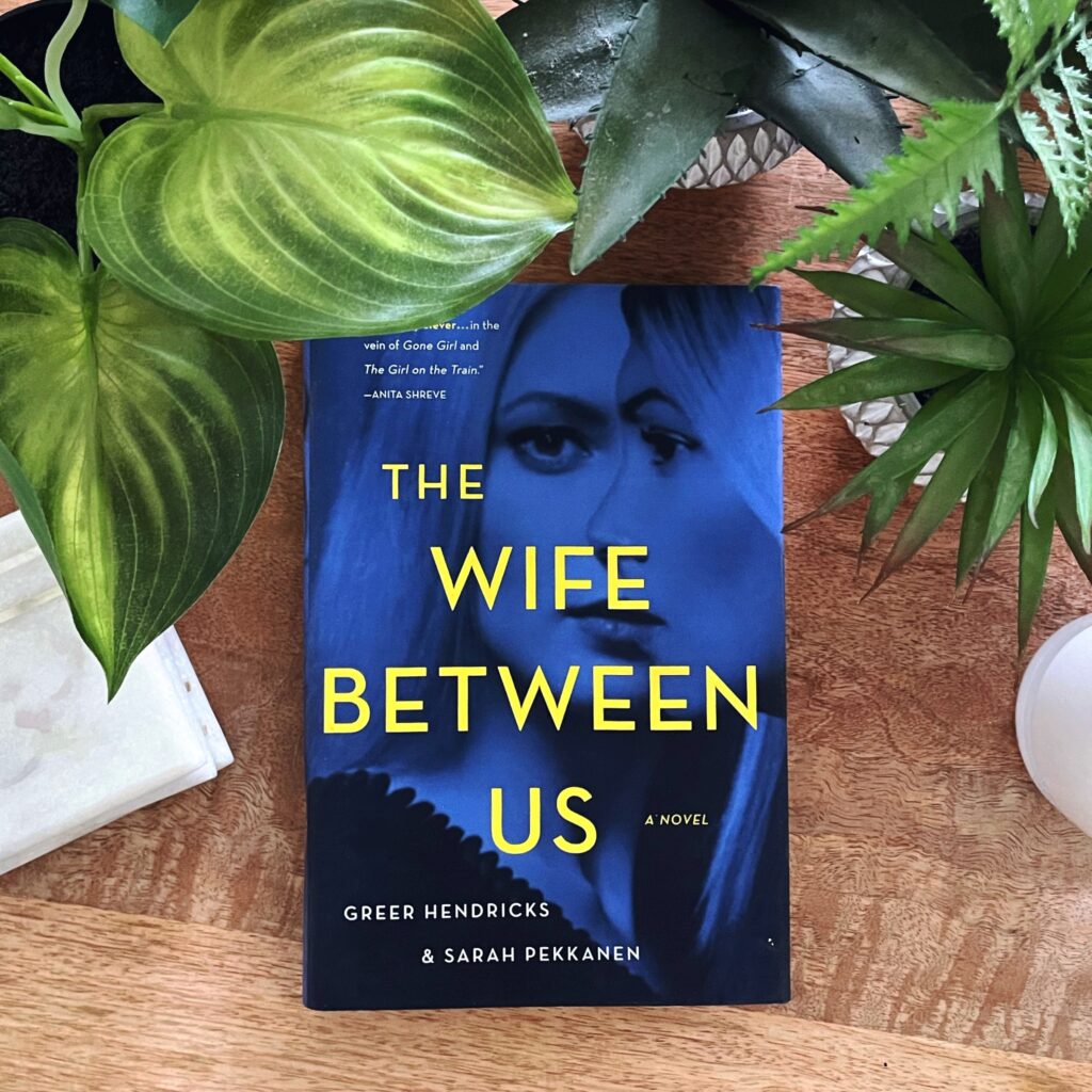 The Wife Between Us is a psychological thriller with a great twist for fans of Gone Girl; the cover is blue with yellow writing and shows two women's faces, one in profile