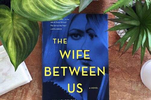 The Wife Between Us is a psychological thriller with a great twist for fans of Gone Girl; the cover is blue with yellow writing and shows two women's faces, one in profile