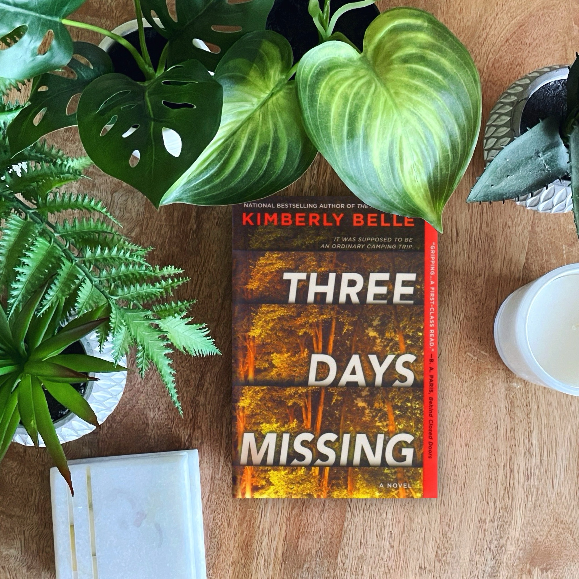 Book Review: Three Days Missing | Kimberly Belle