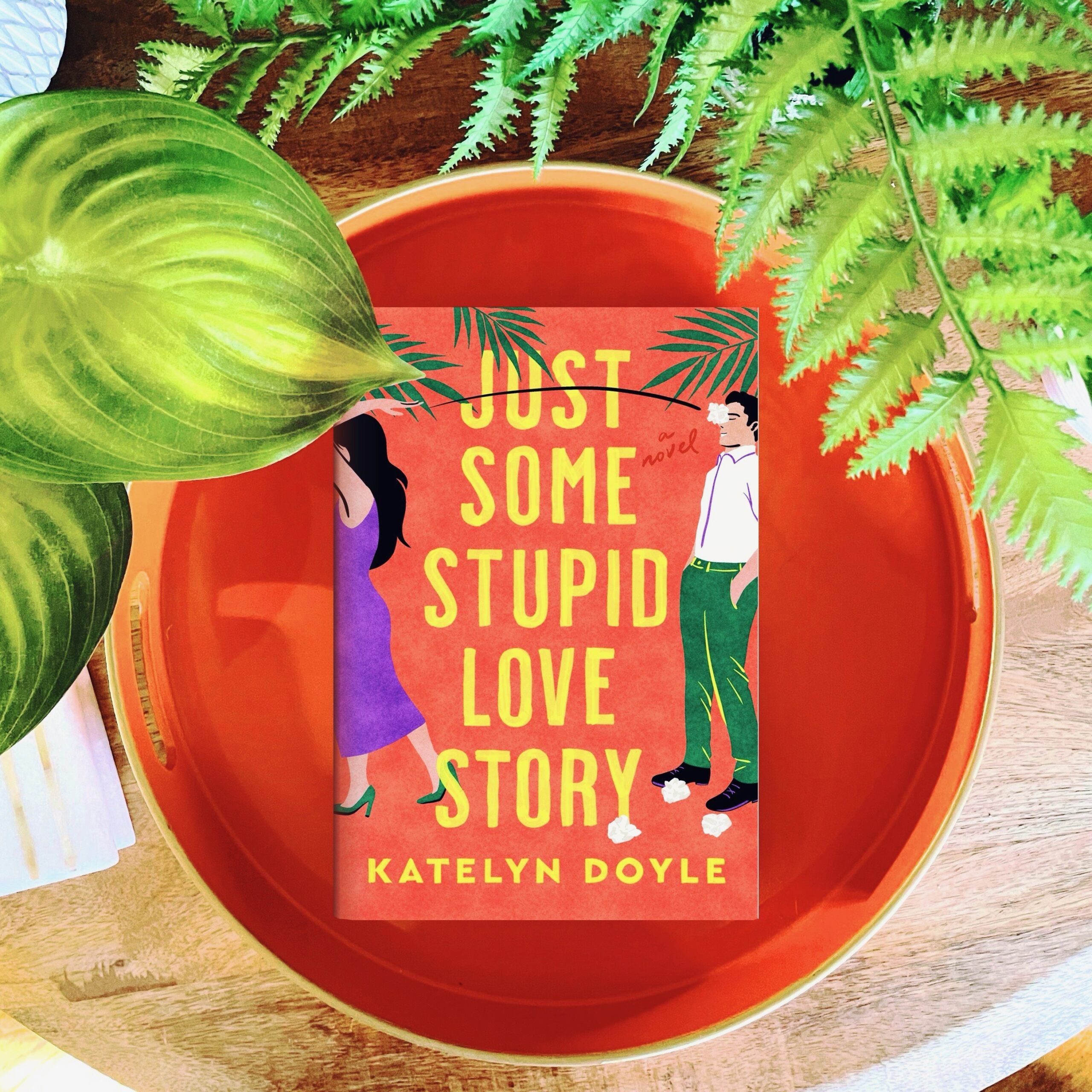 Blog Tour Just Some Stupid Love Story Katelyn Doyle Book Review