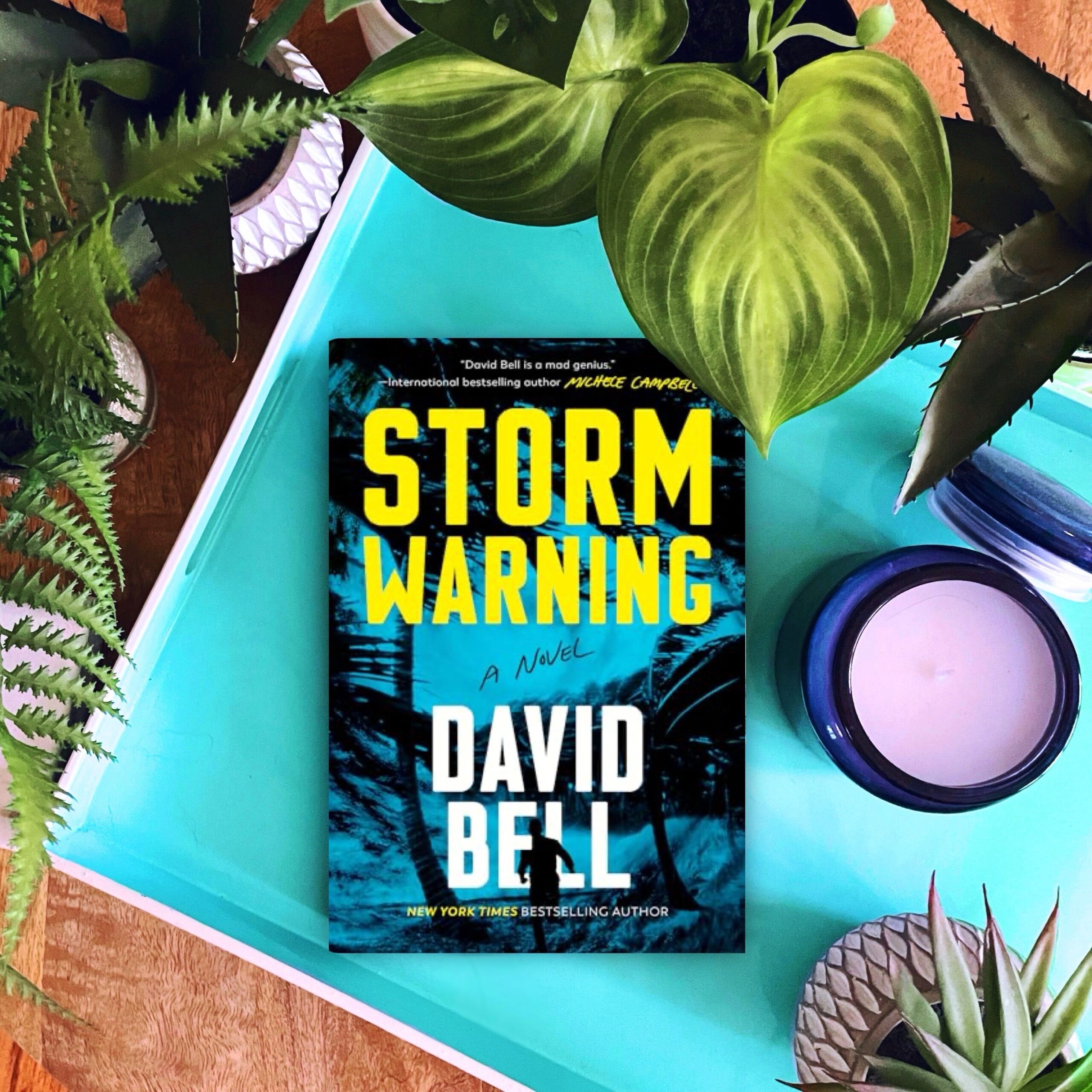 Book Review: Storm Warning | David Bell