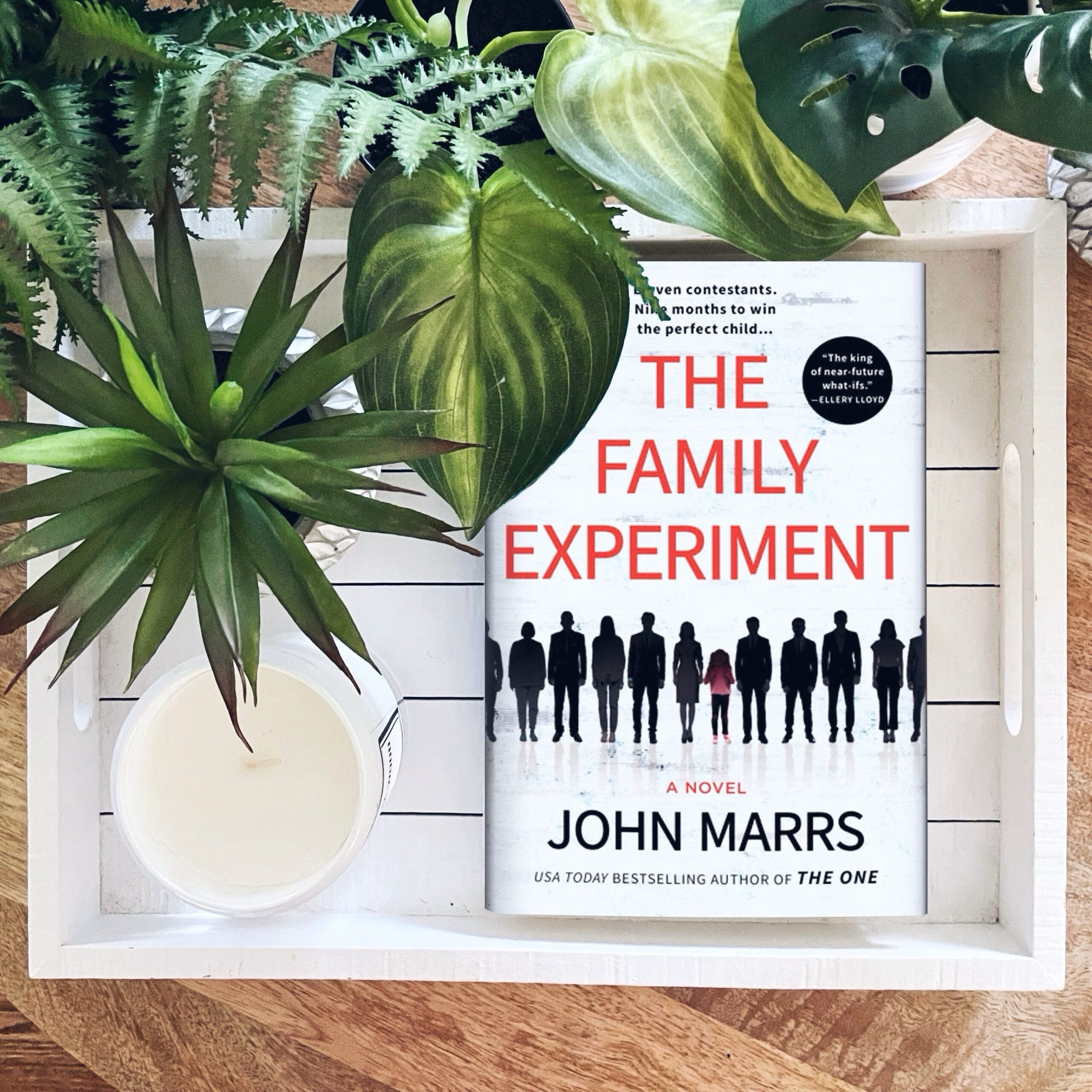 The Family Experiment | John Marrs | Full plot summary and ending - The ...